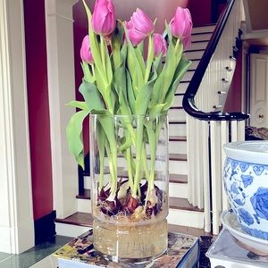 Tall Glass Vase Container Large With Bulb Insert